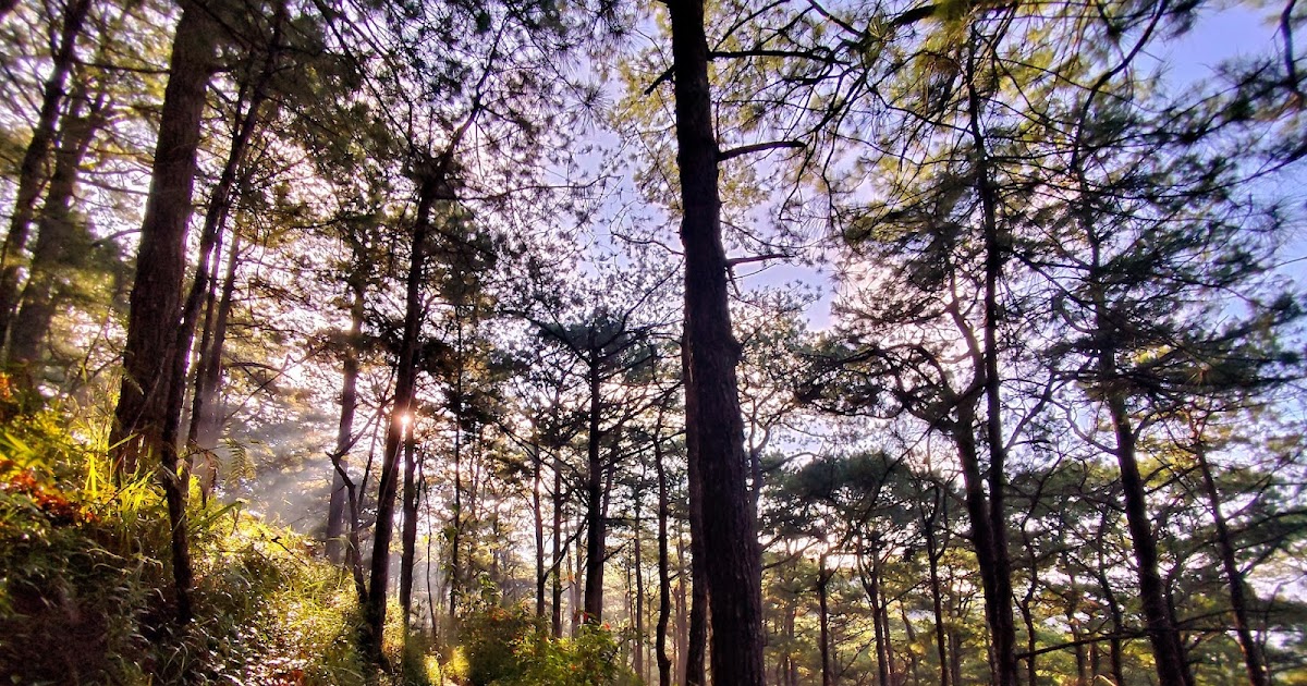 BAGUIO DAILY TOUR PACKAGE 2D1N | 3D2N