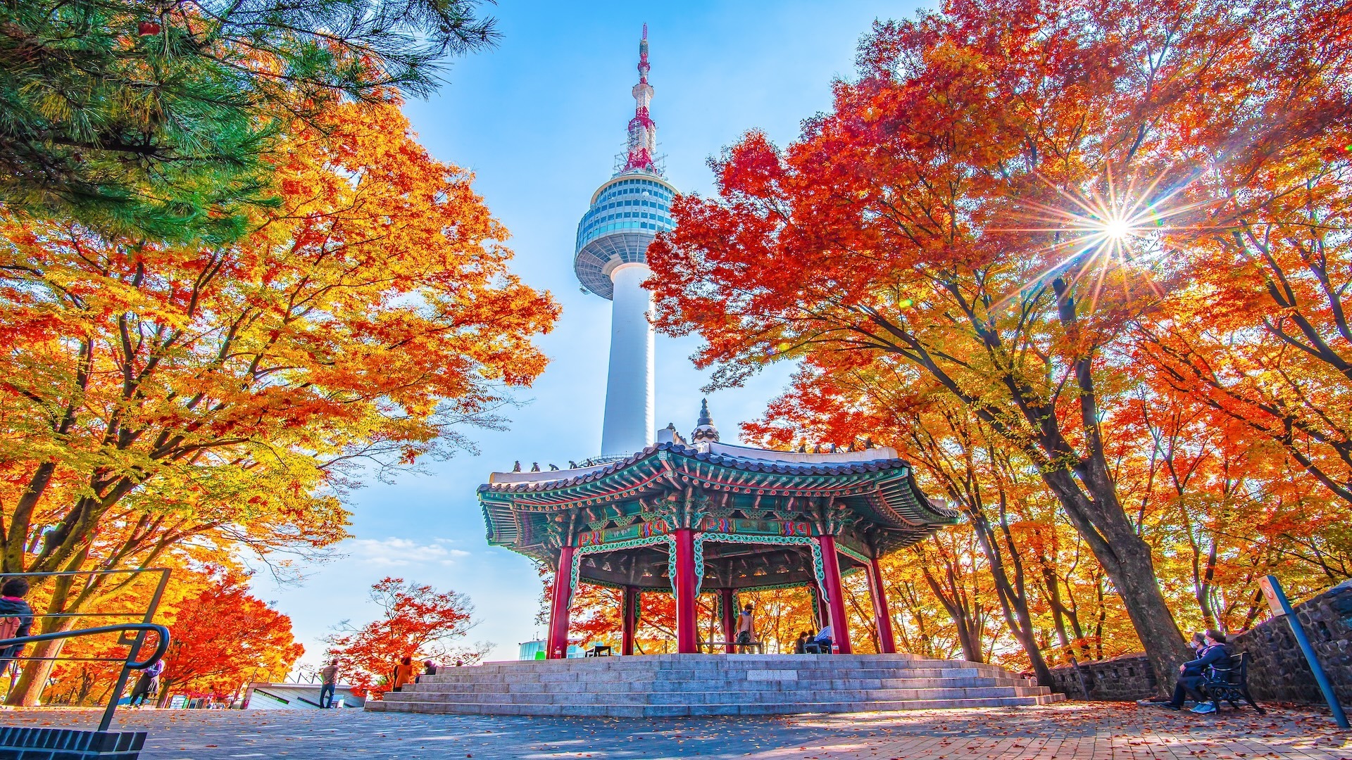 SEOUL SPRING BLOOM